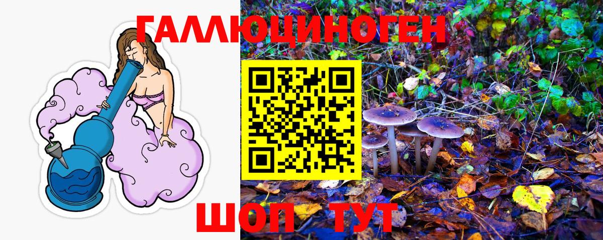 Псилоцибиновые грибы Cubensis  Псилоцибиновые грибы прущие грибы  Вход с VPN  закладка  Дятьково 